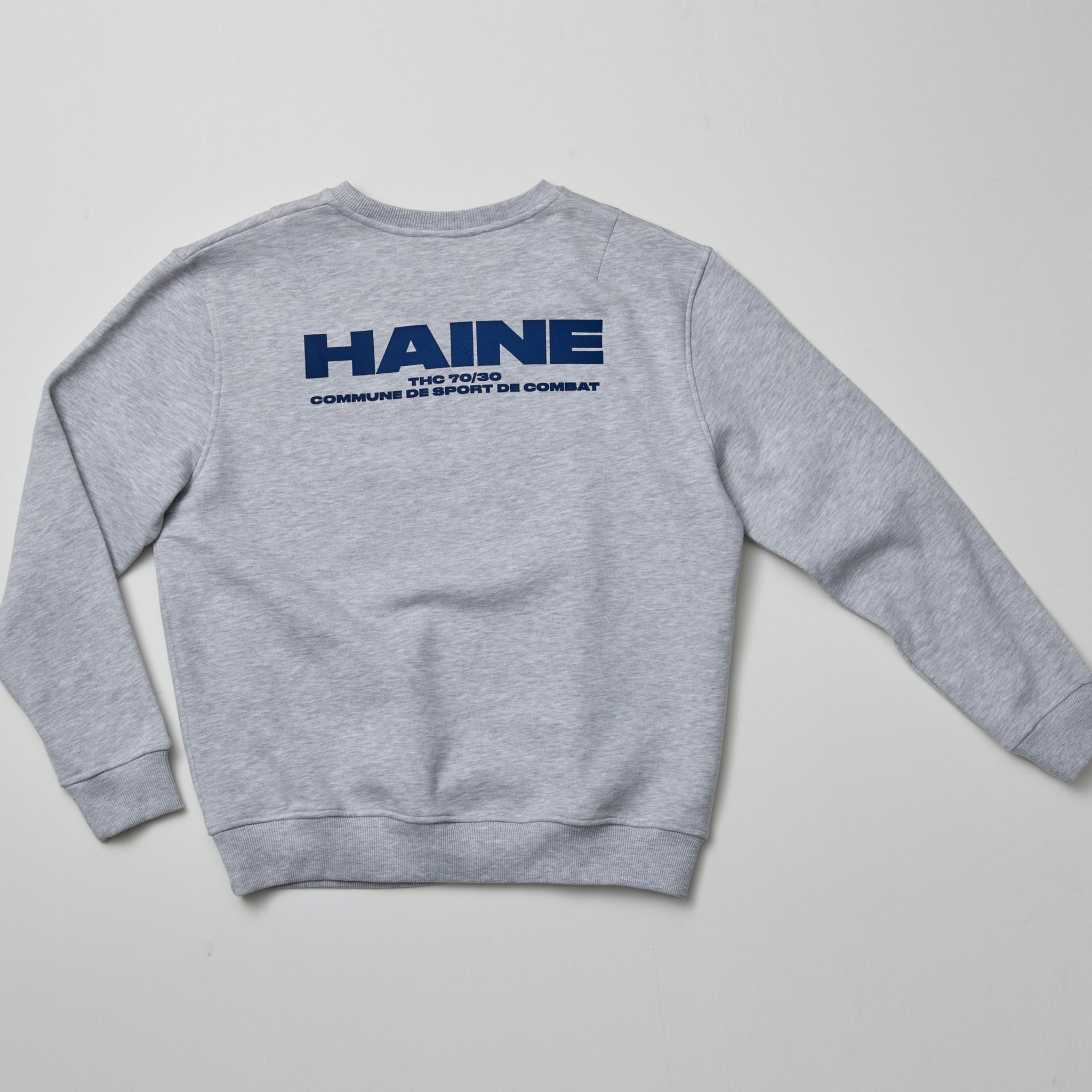 HAINE Sweater back Print